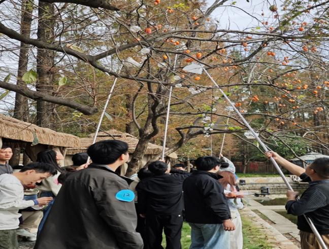 /uploads/image/2025/11/05/b7f43d7e912e63f94dddb3f63061d22d.png 图片5.png